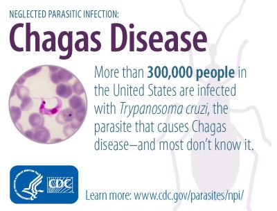 Chagas Disease in the USA