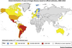 Global Distribution of Chagas Disease
